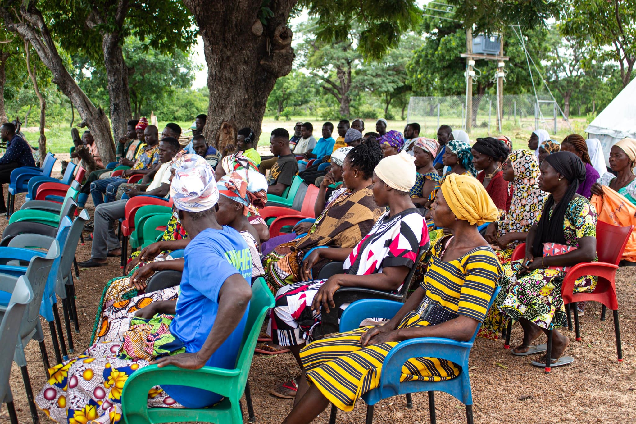 Dansyn Gallery Image 19